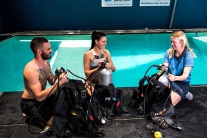 Cairns: 5-dniowy kurs nauki nurkowania na Wielkiej Rafie Koralowej