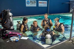 Cairns: 5-dniowy kurs nauki nurkowania na Wielkiej Rafie Koralowej