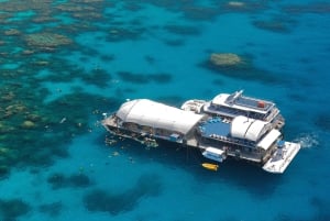 Cairns: Krydstogt ved Great Barrier Reef og 10 minutters helikoptertur