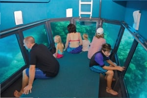 Cairns: Krydstogt ved Great Barrier Reef og 10 minutters helikoptertur