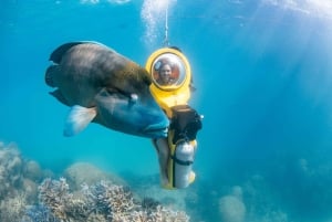 Cairns: Krydstogt ved Great Barrier Reef og 10 minutters helikoptertur