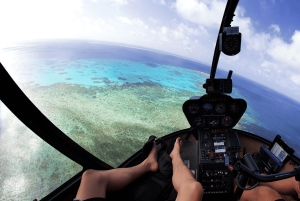 Cairns: Cruise op het Groot Barrièrerif & panoramische helikoptervlucht