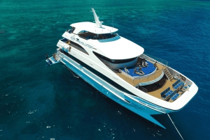 Cairns: Cruise op het Groot Barrièrerif & panoramische helikoptervlucht