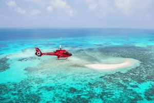 Cairns: Cruise op het Groot Barrièrerif & panoramische helikoptervlucht
