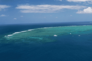 Cairns: Cruise op het Groot Barrièrerif & panoramische helikoptervlucht