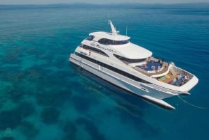 Cairns: Cruise op het Groot Barrièrerif & panoramische helikoptervlucht