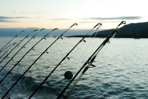 Кэрнс: рыбалка на Большом Барьерном Рифе с обедом