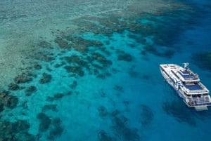 Cairns: Great Barrier Reef Full-Day Tour