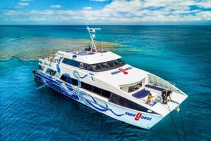 Cairns: Great Barrier Reef Full-Day Tour