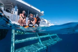 Cairns: Great Barrier Reef Full-Day Tour