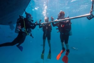 Cairns: Great Barrier Reef Full-Day Tour