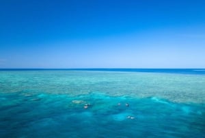 Cairns: Snorkletur med overnatting på Great Barrier Reef