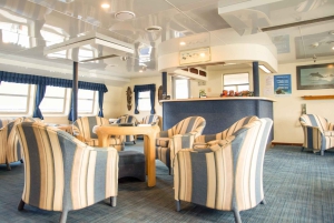 Cairns: Snorkletur med overnatting på Great Barrier Reef