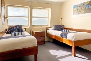 Cairns: Snorkletur med overnatting på Great Barrier Reef