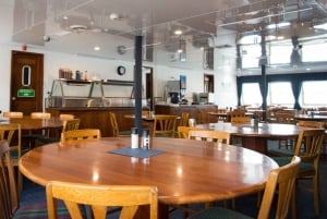 Cairns: Snorkletur med overnatting på Great Barrier Reef