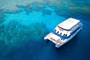 Cairns: Snorkletur med overnatting på Great Barrier Reef