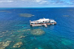 Cairns: Great Barrier Reef Pontoon - Forkælelsespakke