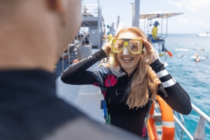 ケアンズ：グレートバリアリーフのポンツーン、ヘリコプターでの移動をご利用ください