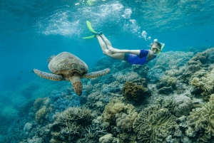 ケアンズ：グレートバリアリーフのポンツーン、ヘリコプターでの移動をご利用ください