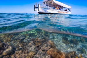 ケアンズ：グレートバリアリーフのポンツーン、ヘリコプターでの移動をご利用ください