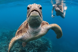 ケアンズ：グレートバリアリーフのポンツーン、ヘリコプターでの移動をご利用ください