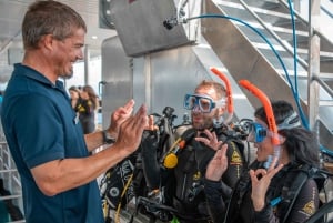 Cairns: Pontón de la Gran Barrera de Coral con Actividades Acuáticas