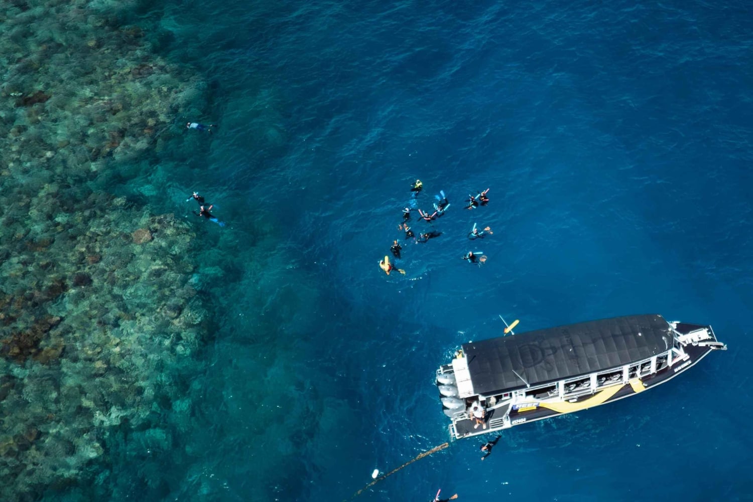 Cairns: snorkling i Great Barrier Reef og naturskjønn flytur