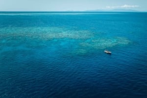 Cairns: snorkling i Great Barrier Reef og naturskjønn flytur