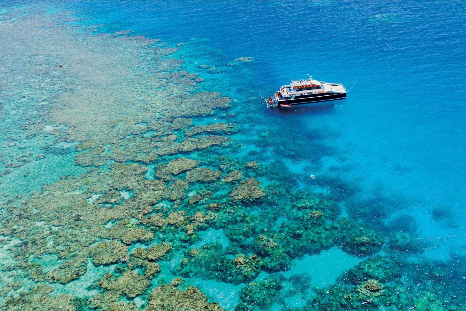 Cairns: Snorkelcruise på Great Barrier Reef med lunsj
