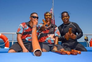Cairns: Snorkelcruise in het Groot Barrièrerif met lunch