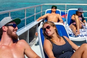 Cairns: Snorkelcruise in het Groot Barrièrerif met lunch