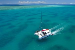 Cairns : excursion de plongée avec tuba dans la Grande Barrière de Corail avec déjeuner