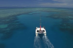 Cairns : excursion de plongée avec tuba dans la Grande Barrière de Corail avec déjeuner