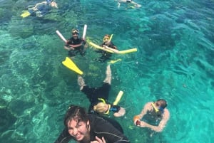 Cairns : excursion de plongée avec tuba dans la Grande Barrière de Corail avec déjeuner