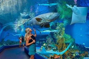 Cairns: Hot Air Balloon Flight & Cairns Aquarium Entry