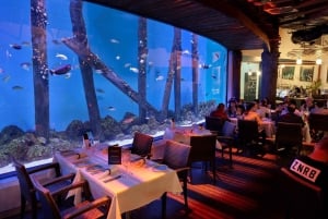 ケアンズ：水族館の夜のガイド付きツアー