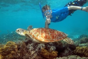 ケアンズ発：オーシャンスピリット号でグレートバリアリーフ1日ツアーをご案内します