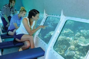 ケアンズ発：オーシャンスピリット号でグレートバリアリーフ1日ツアーをご案内します