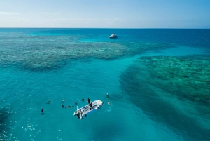 Cairns: Snorkel- og dykkercruise til Outer og Coral Cay