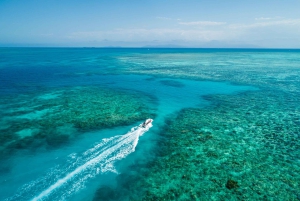 Cairns: Snorkel- og dykkercruise til Outer og Coral Cay