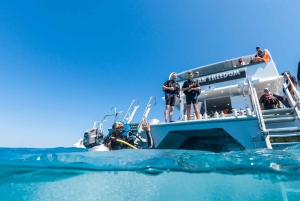 Cairns: Snorkel- og dykkercruise til Outer og Coral Cay