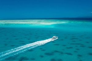 Cairns: Snorkel- og dykkercruise til Outer og Coral Cay