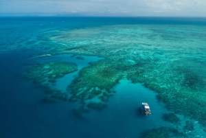 Cairns: Snorkel- og dykkercruise til Outer og Coral Cay