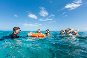 Cairns: Snorkel- og dykkercruise til Outer og Coral Cay