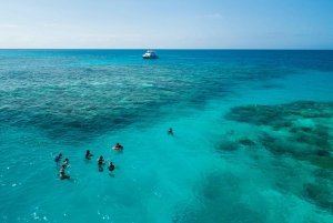 Cairns: Snorkel- og dykkercruise til Outer og Coral Cay