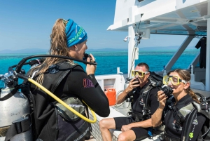 Cairns: Snorkel- og dykkercruise til Outer og Coral Cay