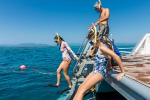 Cairns: Snorkel- og dykkercruise til Outer og Coral Cay