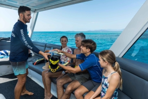 Cairns: Snorkel- og dykkercruise til Outer og Coral Cay