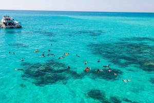 Cairns: Snorkel- og dykkercruise til Outer og Coral Cay