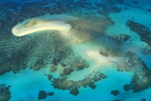 Cairns: panoramische vlucht over de buitenranden van het Great Barrier Reef